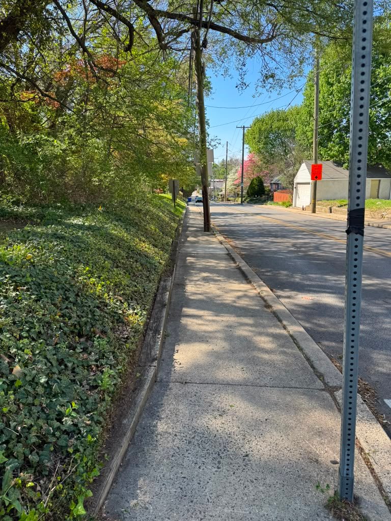 Lawn maintenance work by Green Force Property Services